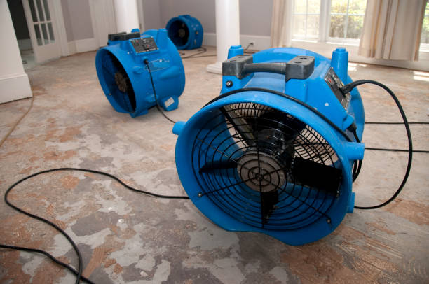 Best Carpet water damage restoration  in Skidmore, TX