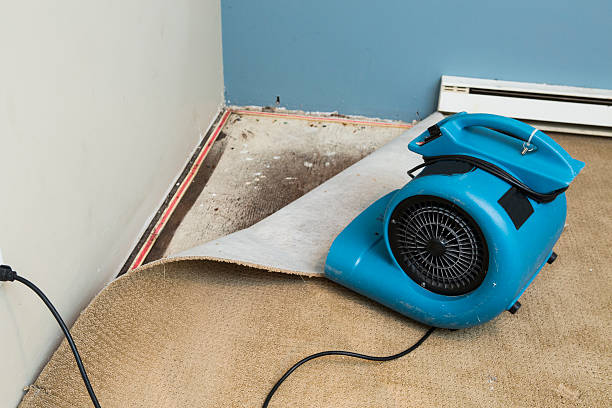 Best Basement water damage restoration  in Skidmore, TX